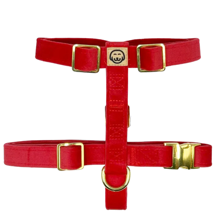 MOLLY & CO. - Adjustable Strap Harness - Scarlet Velvet