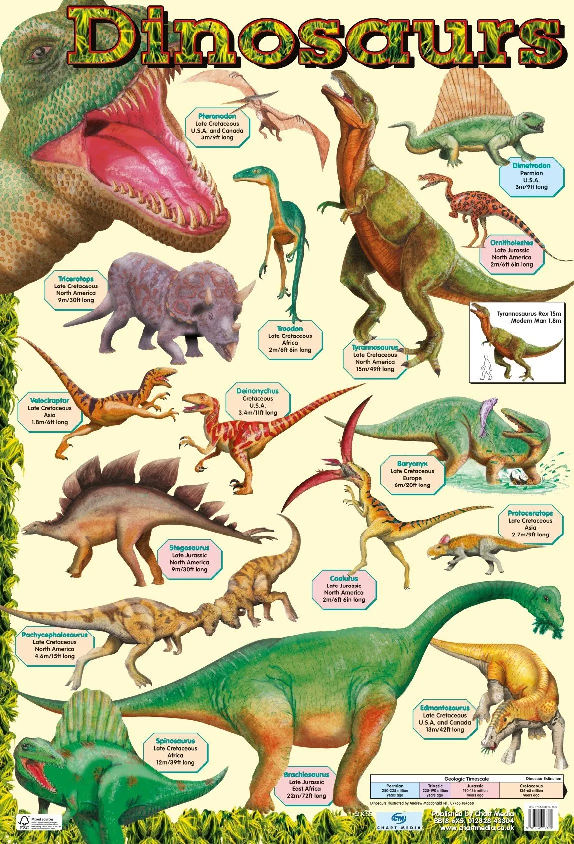 Poster 60cm x 40cm - Dinosaurs