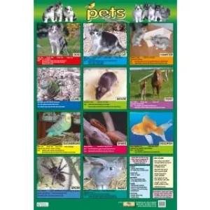 Poster 60cm x 40cm - Pets