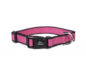 Rasberry Reflective Trim Collar