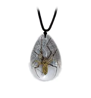 Real Spider Necklace Teardrop Shaped Clear Real Nature Gift