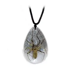 Real Spider Necklace Teardrop Shaped Clear Real Nature Gift