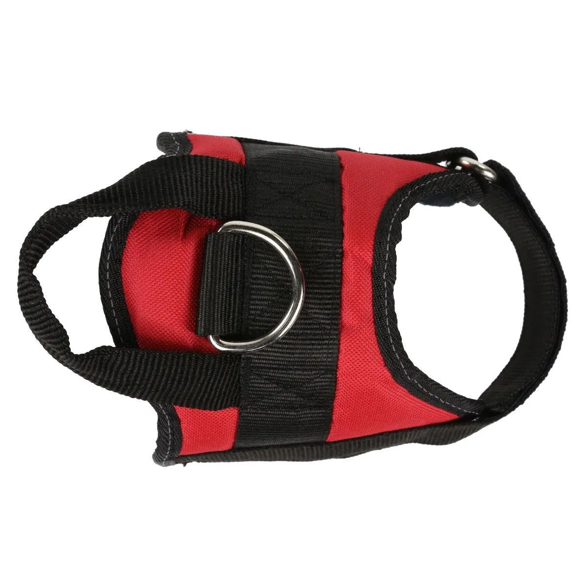 Regatta Reflective Dog Harness - Red