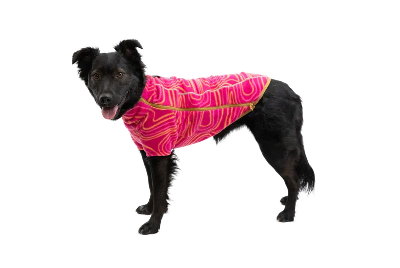 Ruffwear Climate Changer™ Dog Fleece technical, breathable fleece - Blue Jay
