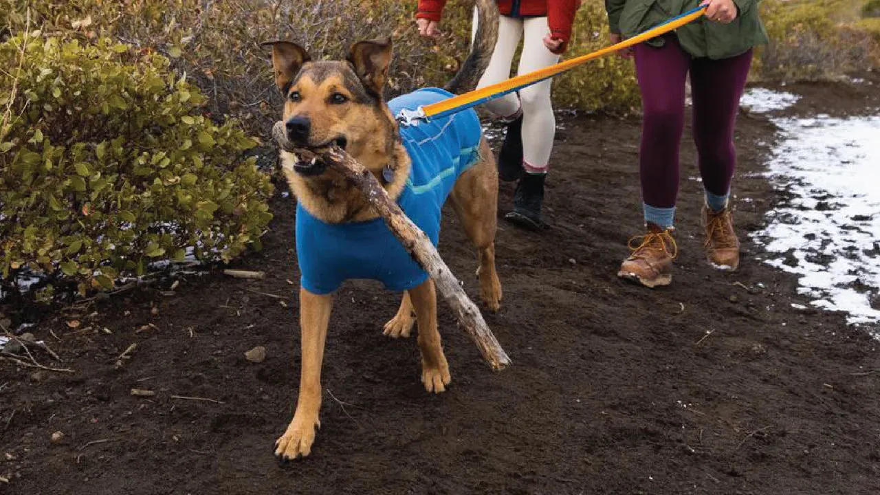 Ruffwear Climate Changer™ Dog Fleece technical, breathable fleece - Blue Jay