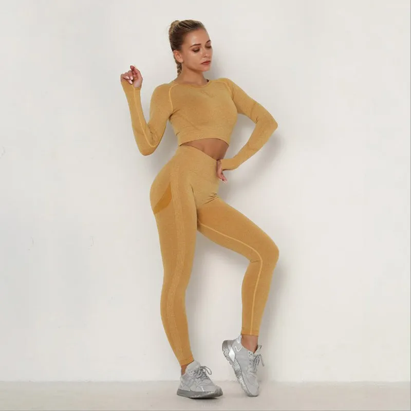 Women Seamless Workout Outfits Athletic Set Leggings   Long Sleeve Top